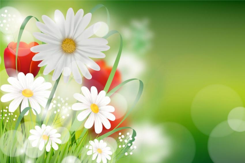 Realistic spring background - Photo #52 - Pexelbd